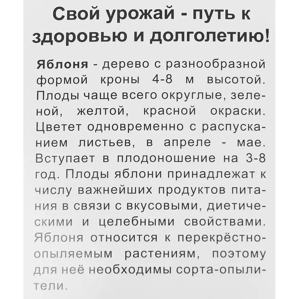 Яблоня карликовая Братчуд в тубе Поиск Инвест 82150831 STLM-2022125 Santreyd  - Вид №2