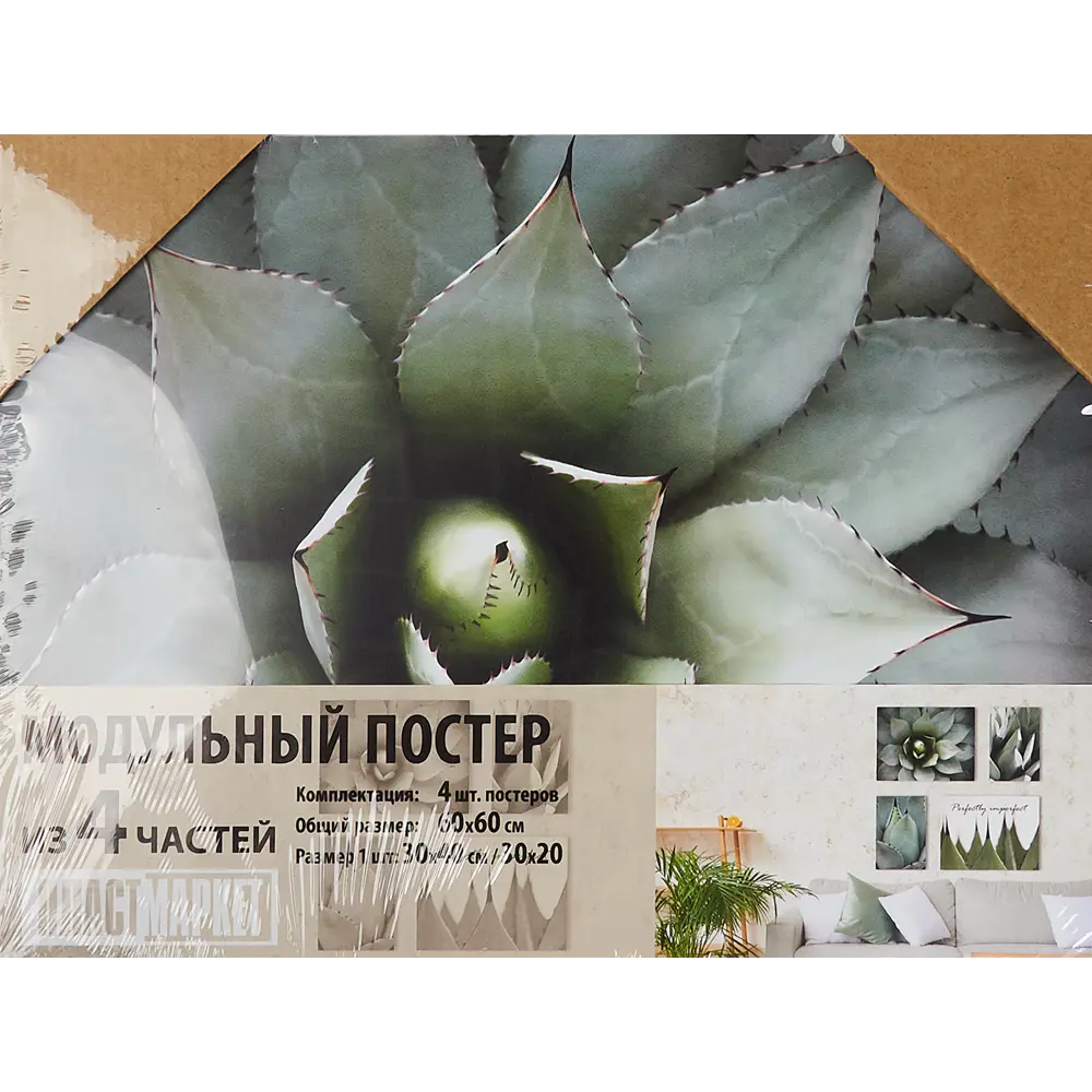 Постер модульный ПВХ Агава 60x60 см 83518424 STLM-2087520 Santreyd  - Вид №8
