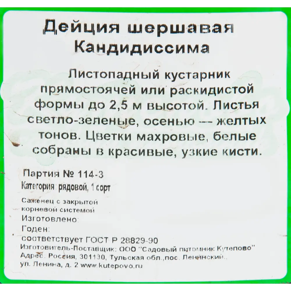 Дейция шершавая «Кандидиссима» 15x40 см 82594836 STLM-2134425 Santreyd  - Вид №2