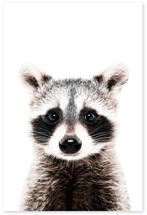 Groovy Magnets Клейкое виниловое украшение  St-92x60-ra  - Вид №1