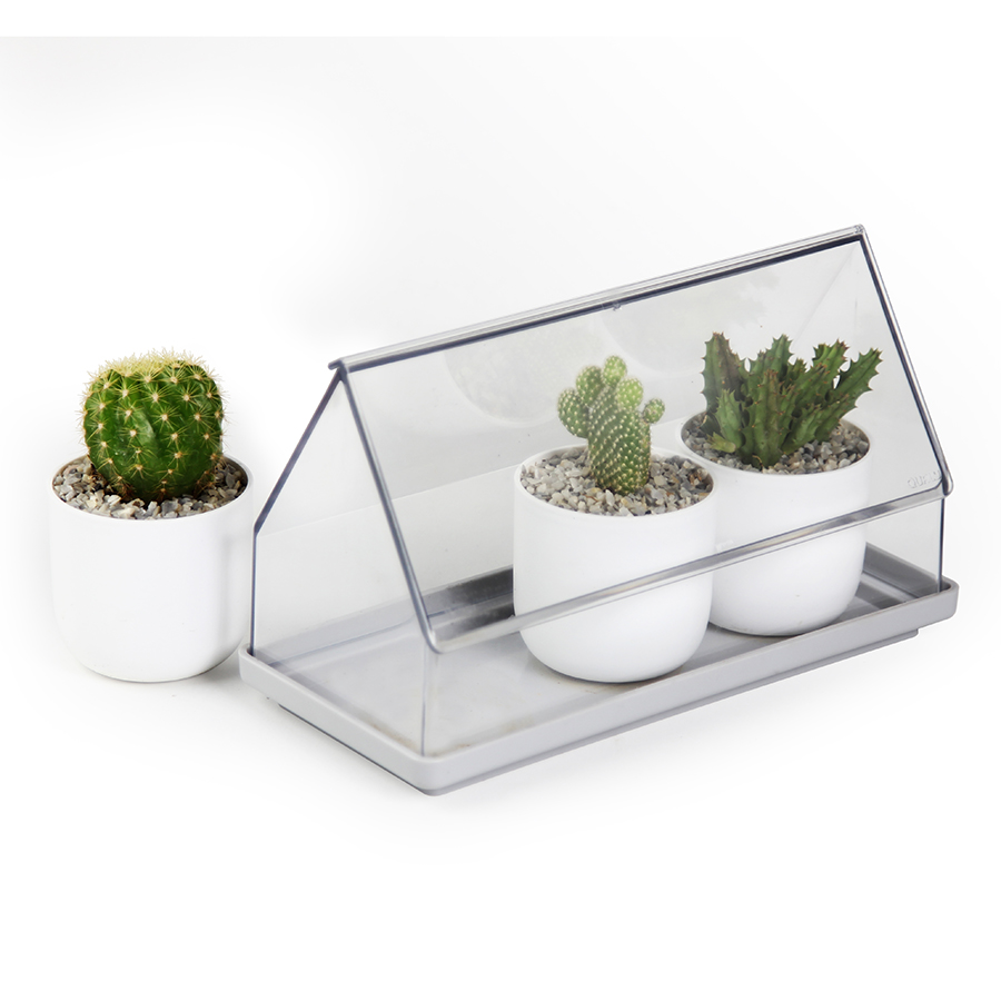 QL10310-CL-GY Лоток для выращивания растений micro green house прозрачный Qualy  - Вид №8