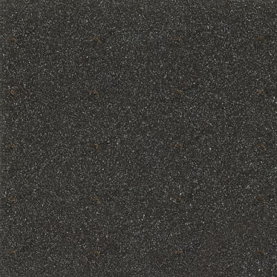 Техногрес черный  60х60 Шахтинская Плитка 010408001226