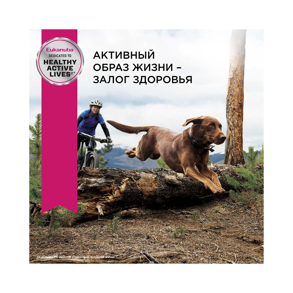 ПР0033062 Корм для собак для крупных пород сух. 15кг Eukanuba  - Вид №2