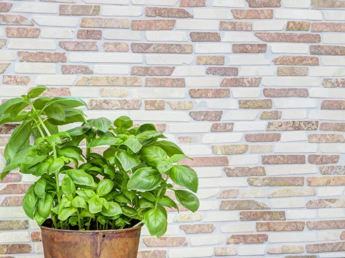 Отделка из красного и кремового мрамора Verona Mosaix ARCH-00087119