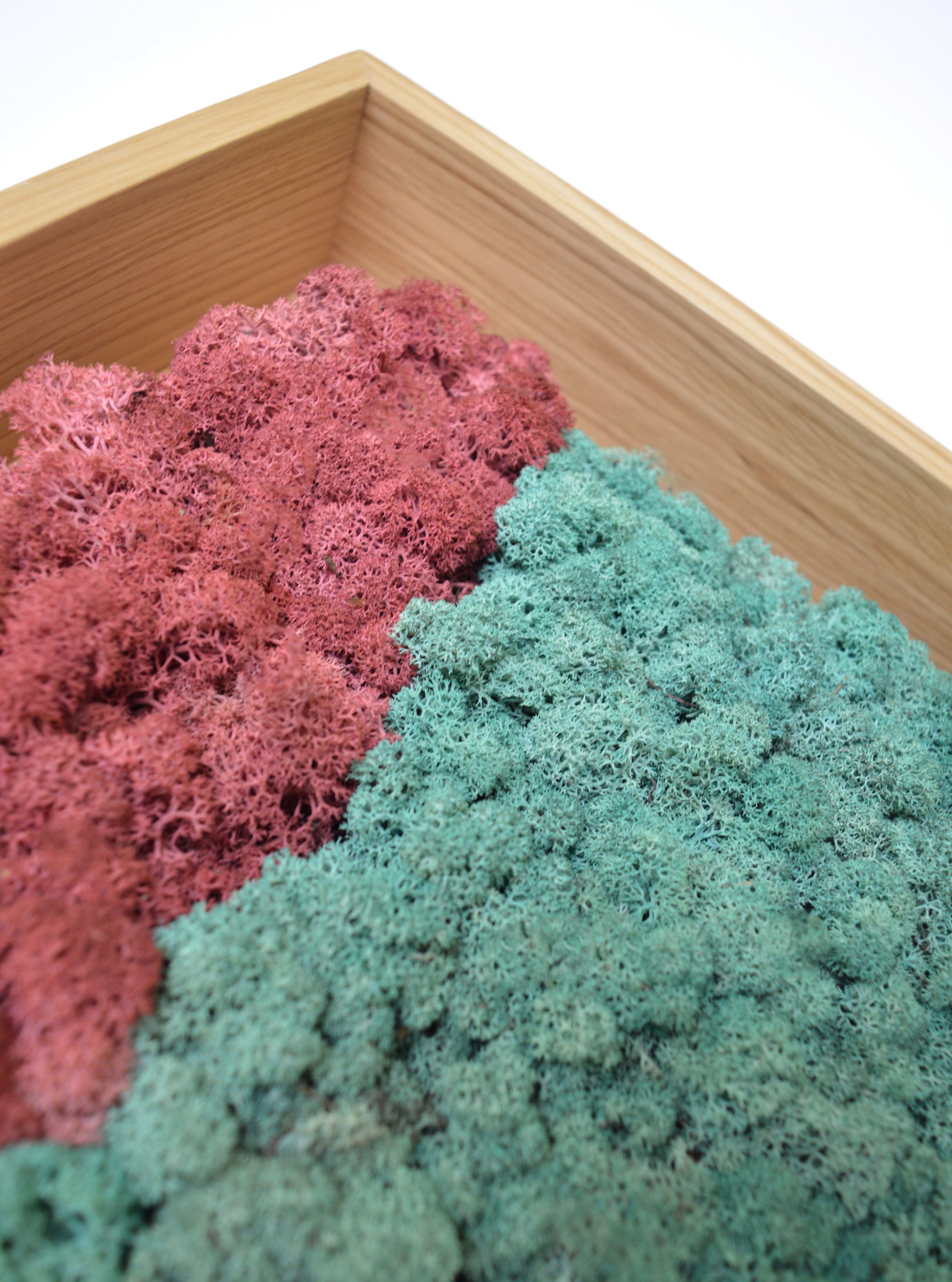 Акустическая панель из мха GREENMOOD FRAMED HARMONY ARCH-00128753 - Вид №19