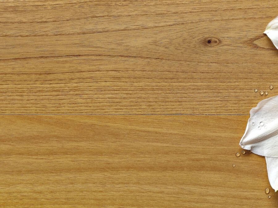 Паркет из акации Bassano Parquet натуральные ARCH-00006023 - Вид №1