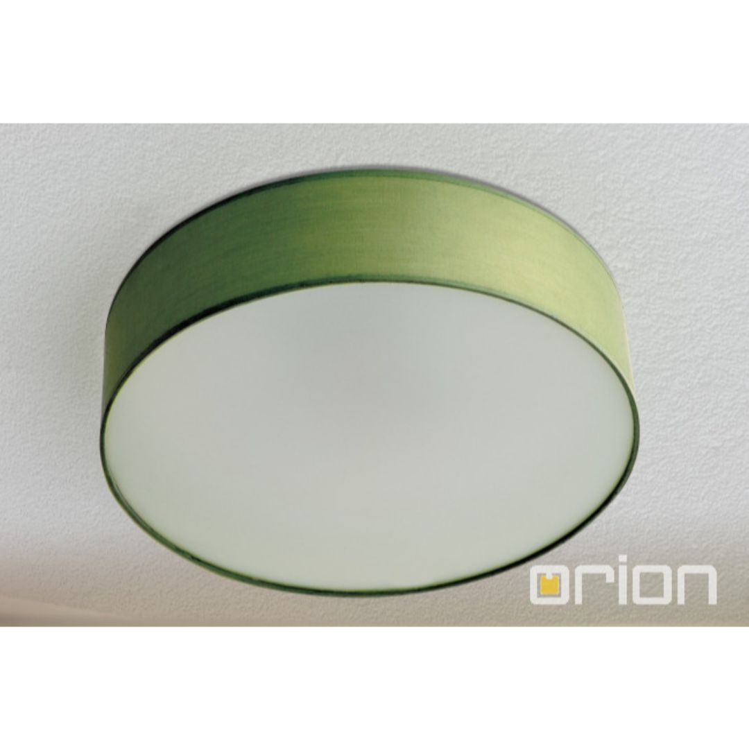 Orion DL 7-617/3 зеленый светильник потолочный 108250 - Вид №1