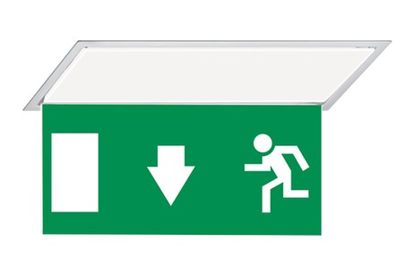 DST-261 Hydra pennant Daisalux Светильники аварийные Серебристо-Серый 