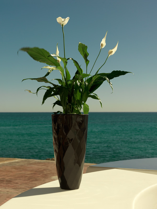 073097 Кашпо Nano матовое бежевое 28см Vondom Vases - Вид №1