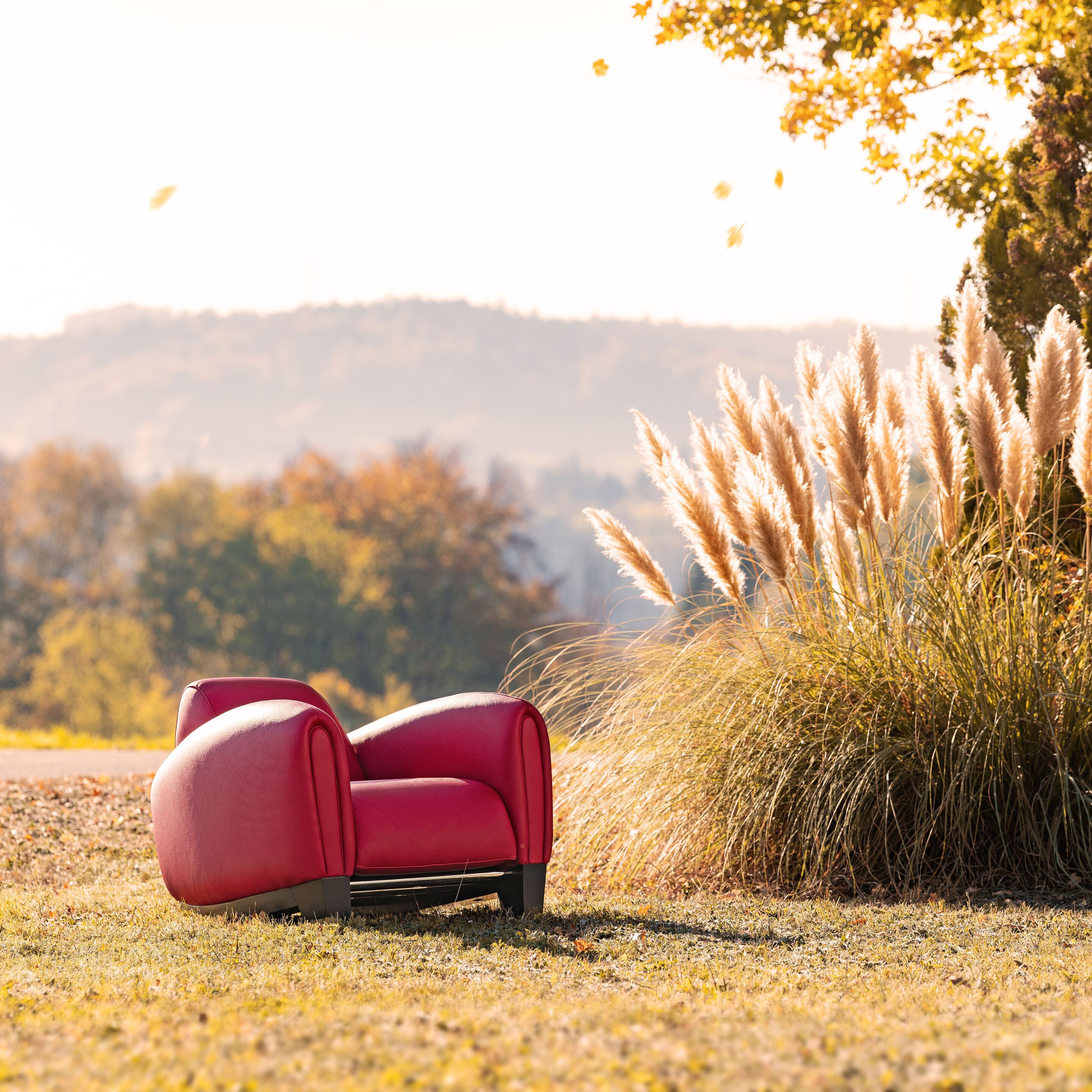 Кожаное клубное кресло с подлокотниками de Sede DS-57 AERO ARCH-00133840 - Вид №7