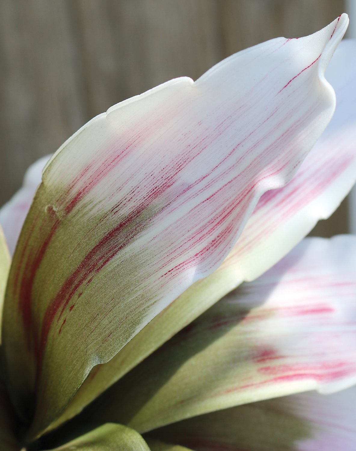 7955 508 a3 Искусственный мягкий цветок агавы, 90 см, розово-зеленый H-andreas 