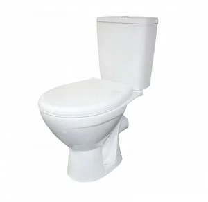 Соло, Унитаз-компакт Компакт унитаз с бачком Белый ROSA СОЛО Россия