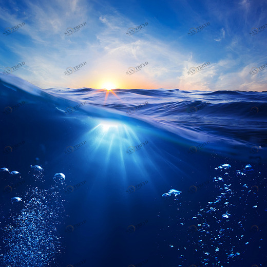 B1-072 Фотообои DIVINO Collection B 2.7х3 м B1072