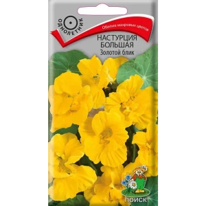 Настурция большая Золотой блик от ПОИСК - золотисто-желтые цветы для вертикального озеленения 89401261