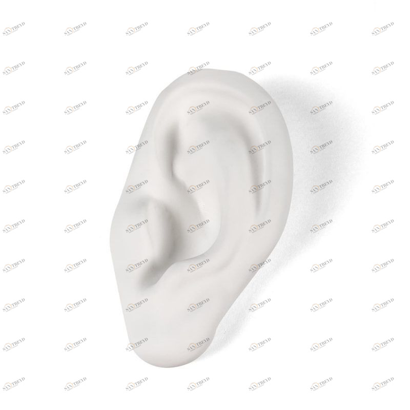 Статуэтка фарфоровая белая Memorabilia Mvsevm Ear SELETTI  00-3883233 Белый 