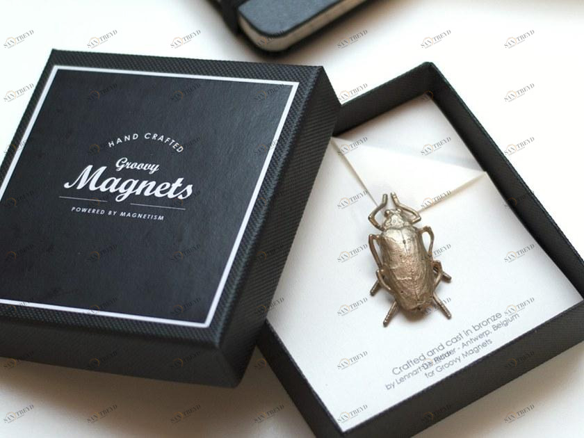 Groovy Magnets Бронзовый магнит  M-beetle 