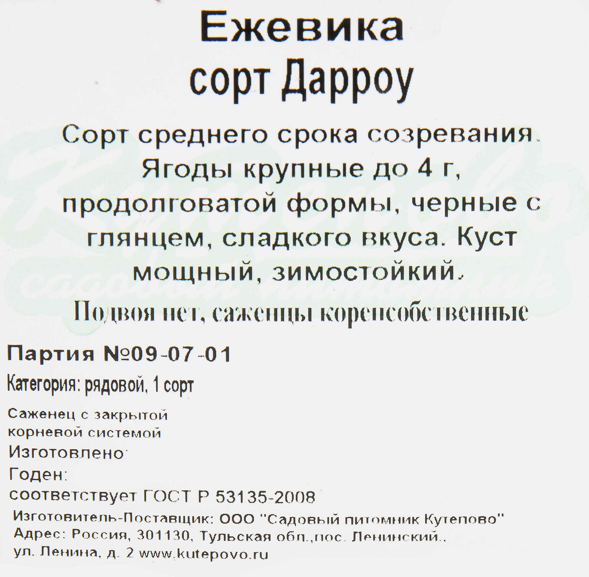 Саженец ежевики «Дарроу» — урожайный сорт для сада 82597071 Santreyd STLM-0030987 - Вид №1