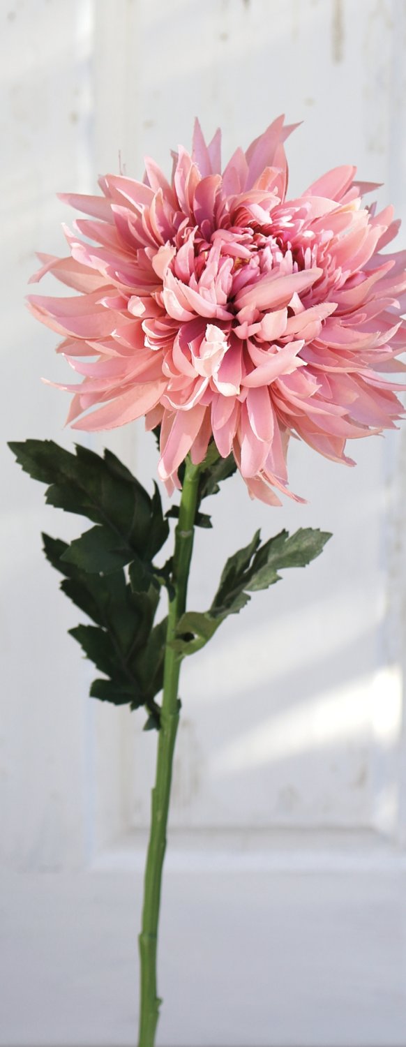 3411 597 a3 Хризантема пластиковая, 62 см, антично-розовая H-andreas  - Вид №4