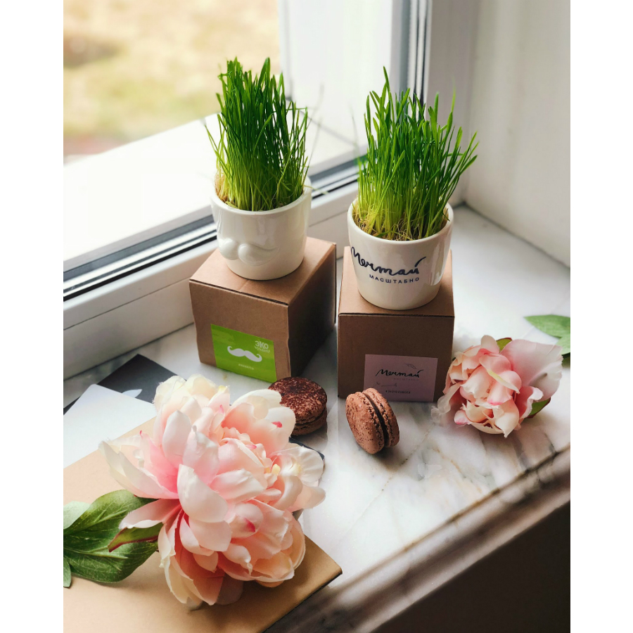 MIN-1-02 Набор для выращивания eco мини-кашпо «усы» Экочеловеки  - Вид №9