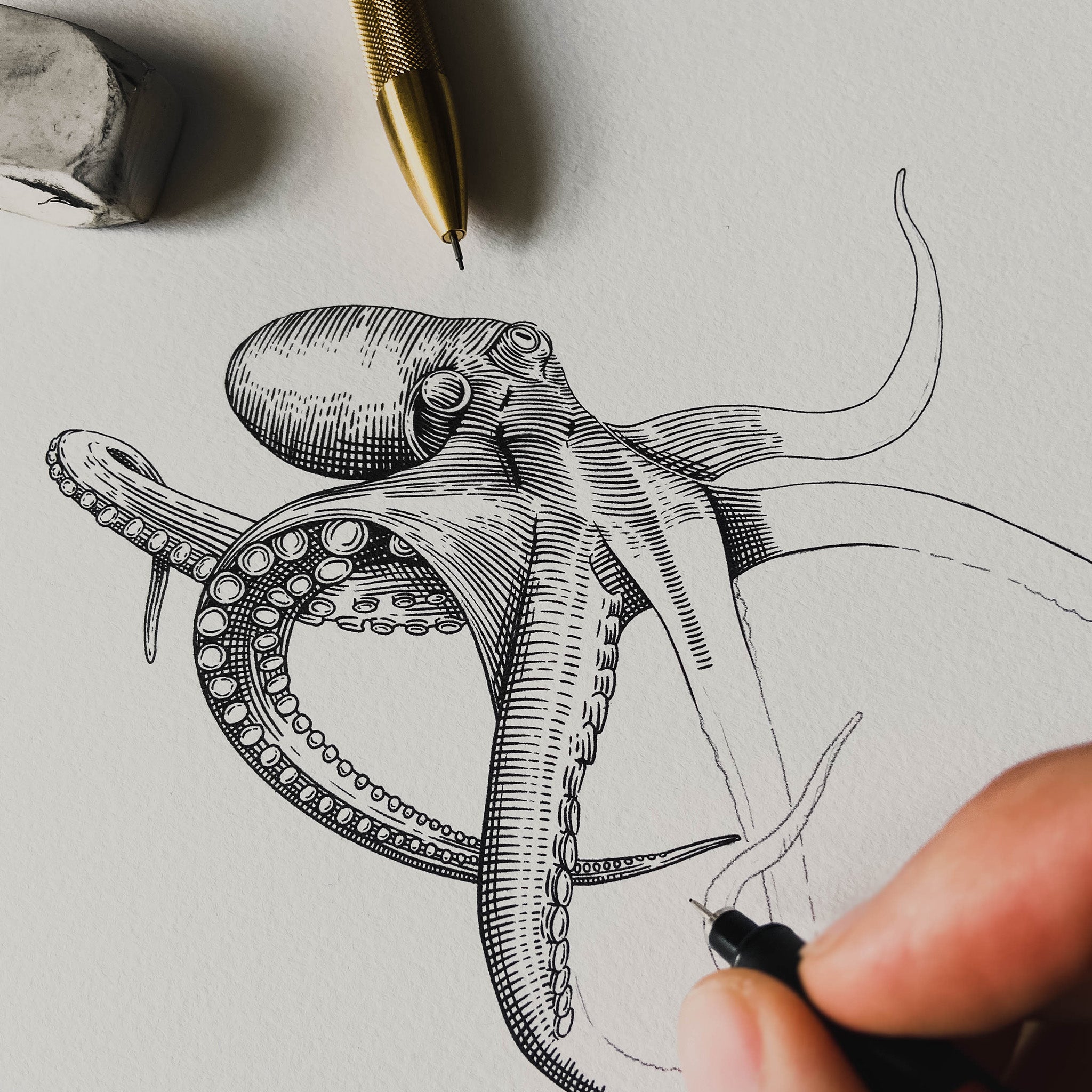 W204STE-OCT X Lást Maps Octopus - Механическая ручка - Сталь Wingback  - Вид №3