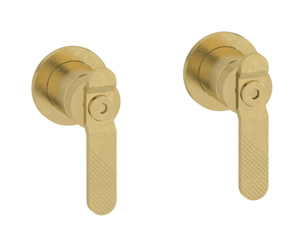 Встроенный смеситель для душа на 2 отверстия на 1 потребителя. WE ARE IB b2400on Natural Brass Bold