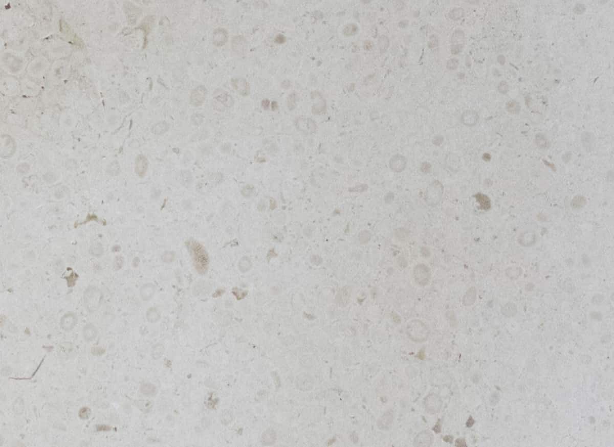 Прямоугольный подвесной одиночный умывальник COCOON Maison ARCH-00045271 - Вид №42