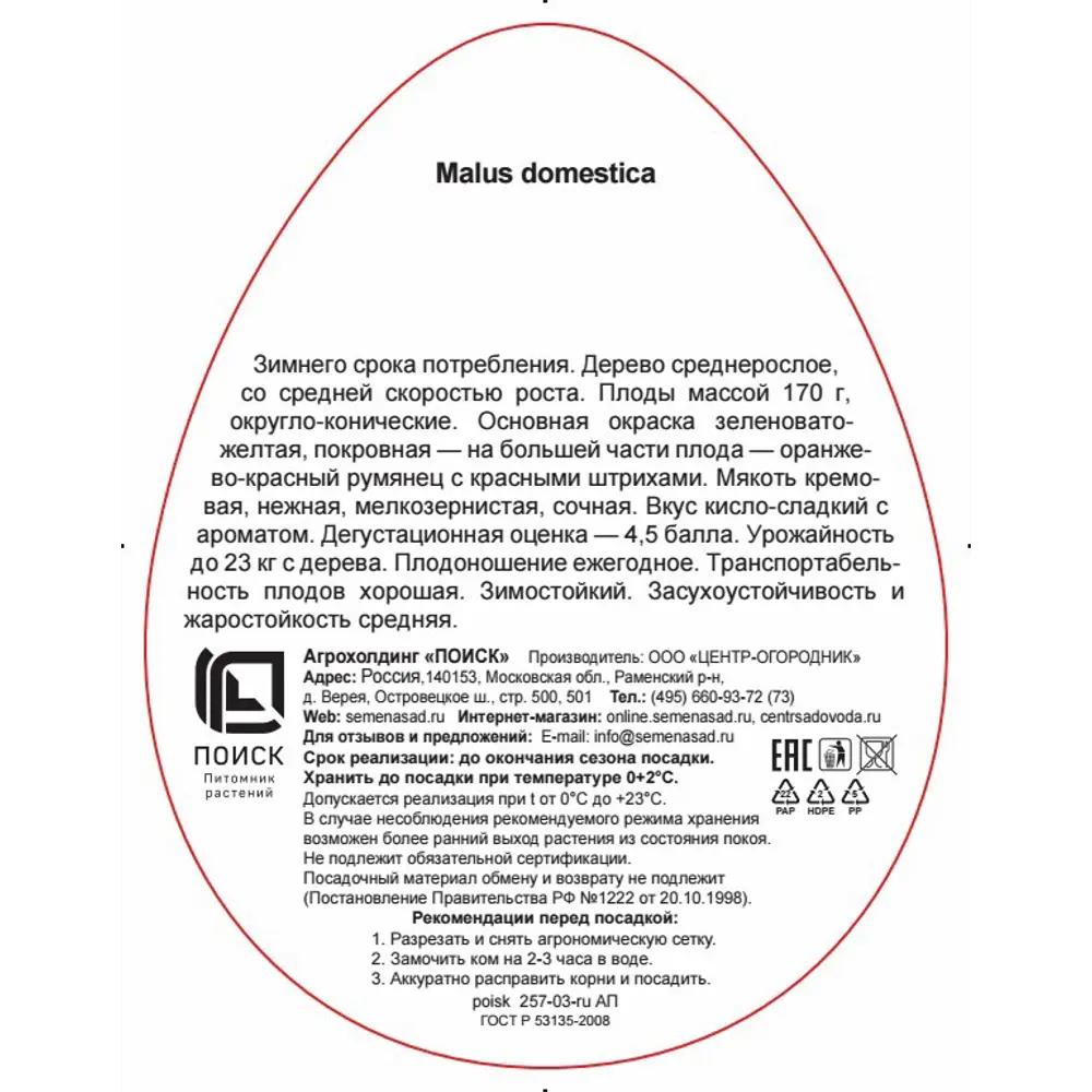 Яблоня Хоней крисп в тубе Поиск Инвест 83791293 STLM-2118543 Santreyd  - Вид №2