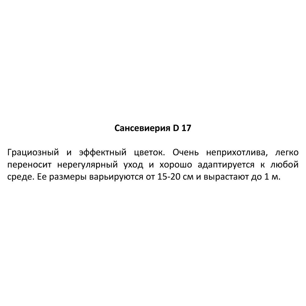 Сансевиерия ø17 h35 см 83275152 STLM-2203628 Santreyd  - Вид №2