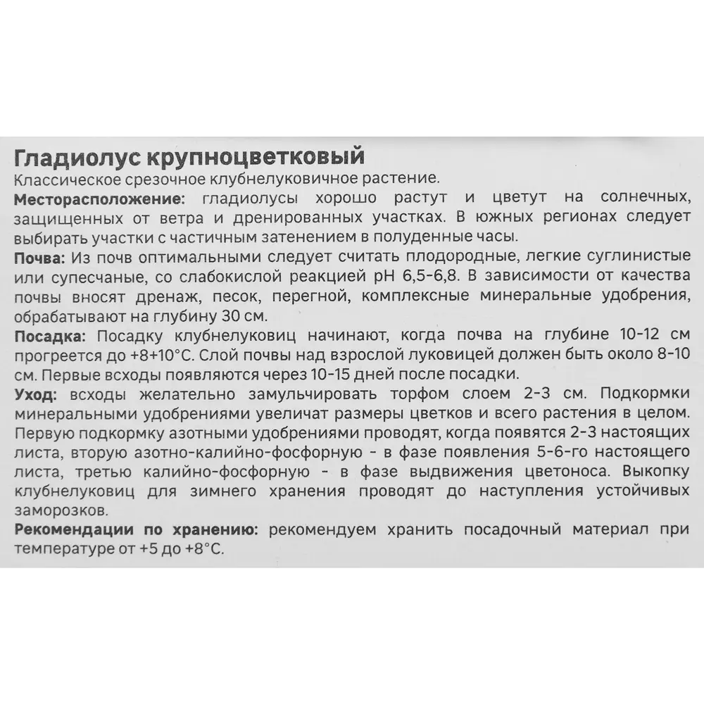Гладиолус крупноцветковый Жирона Geolia 3 шт STLM-2199249 - Вид №2