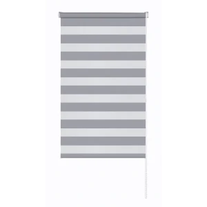 Рулонная штора день-ночь MIAMOZA Петер 40x160 см серая 89411355