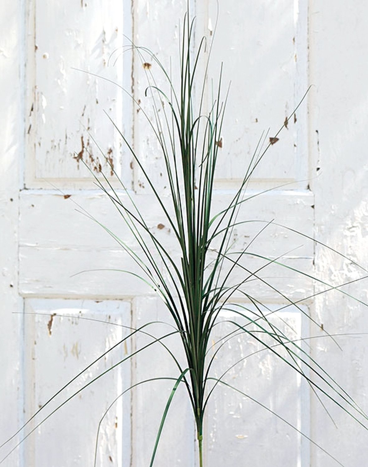 4851 888 a2 Искусственная китайская серебристая трава, 96 см, темно-зеленая H-andreas  - Вид №1