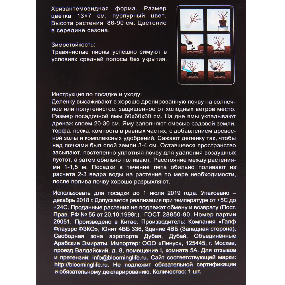 Пион травянистый Пурпурная феерия 12194869 STLM-2096031 Santreyd  - Вид №3