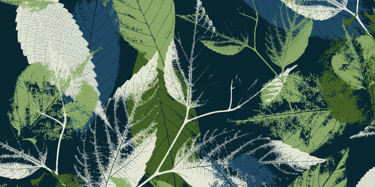 Стеновые панели - Клематис