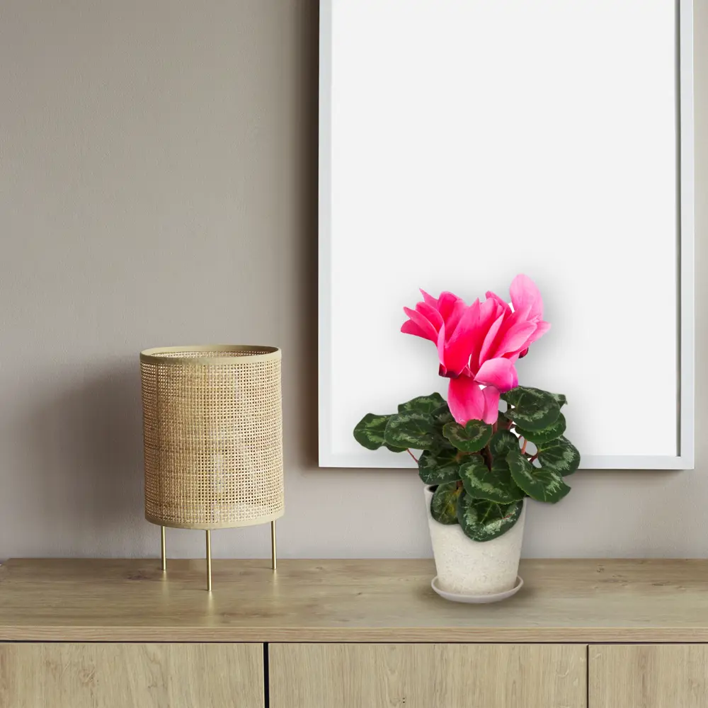 Santreyd Керамический горшок «Бежевый камень» для комнатных растений 83406115 STLM-0041009 - Вид №3