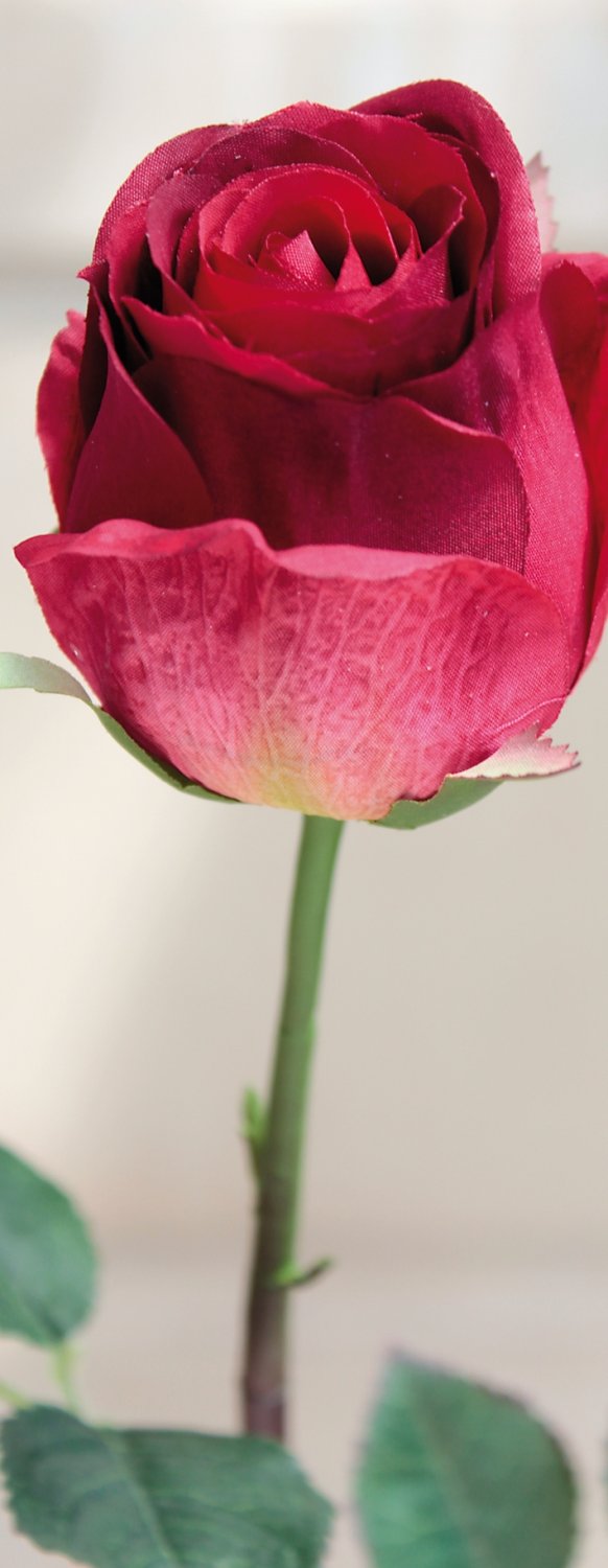 3350 408 a2 Искусственная роза, 58 см, красно-зеленая H-andreas  - Вид №4