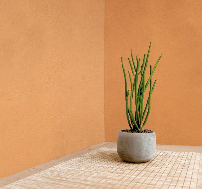 VALPAINT Декоративная краска с эффектом бетона Professionali sun-id-1361436 - Вид №2