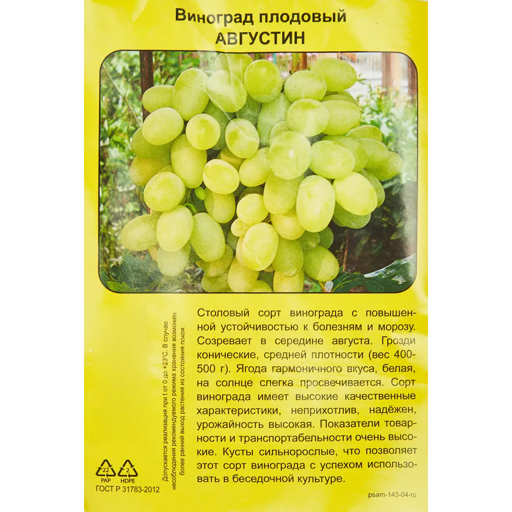 Виноград плодовый Августин h40 см 83791401 STLM-2077665 Santreyd  - Вид №4