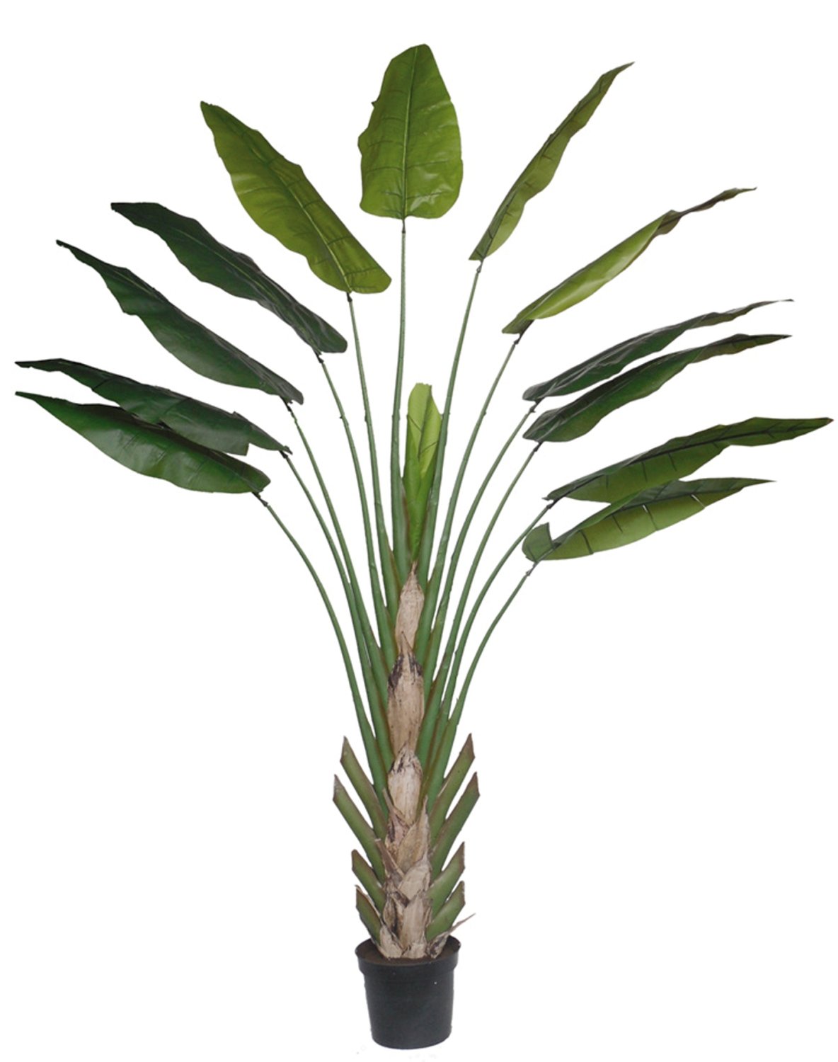 5895 883 a3 Искусственная геликония, горшечная, 300 см, зеленая H-andreas  - Вид №5