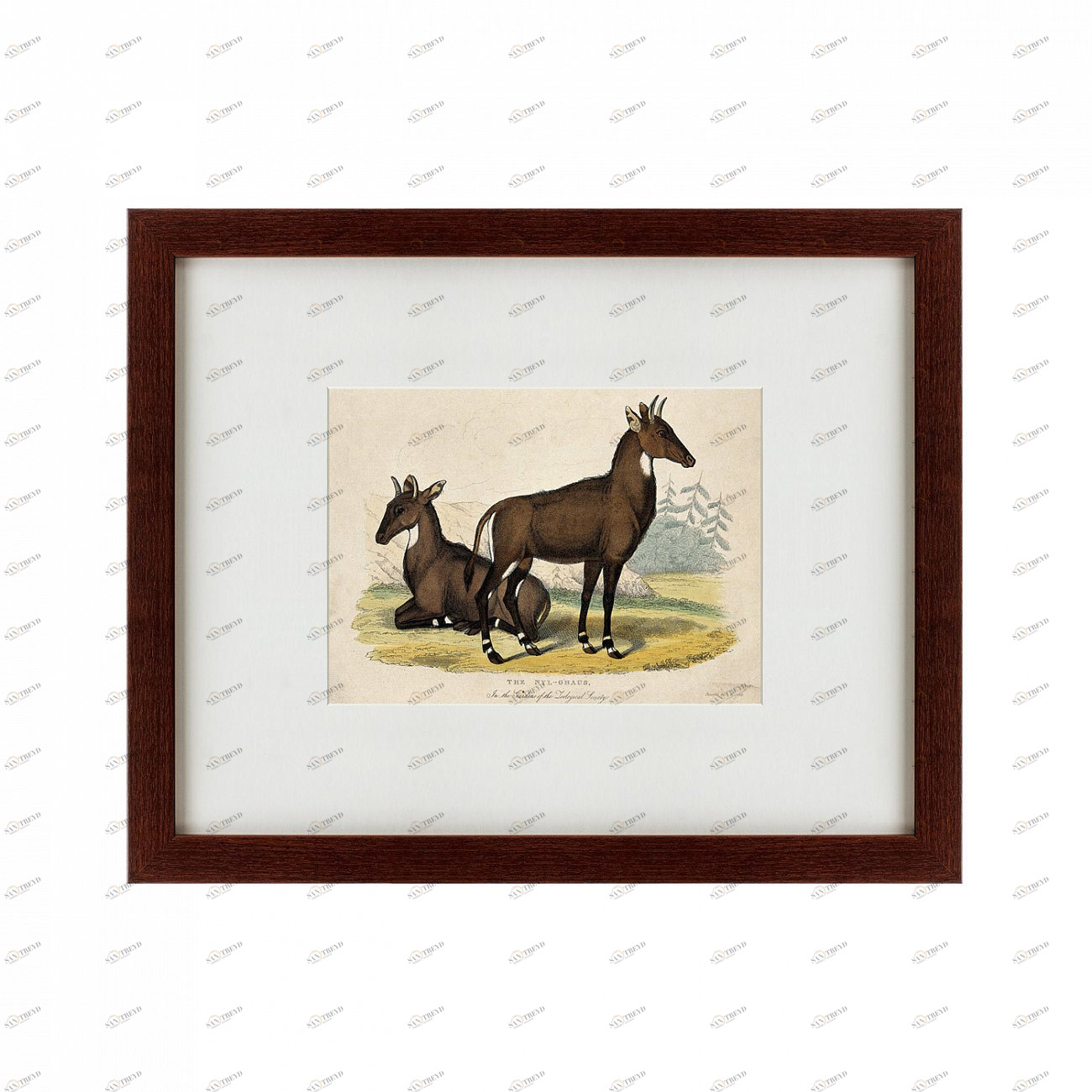 Литография на тонированной бумаге 42х52 см Two nilgais, 1830 КАРТИНЫ В КВАРТИРУ  135645 Бежевый;белый;черный;разноцветный 