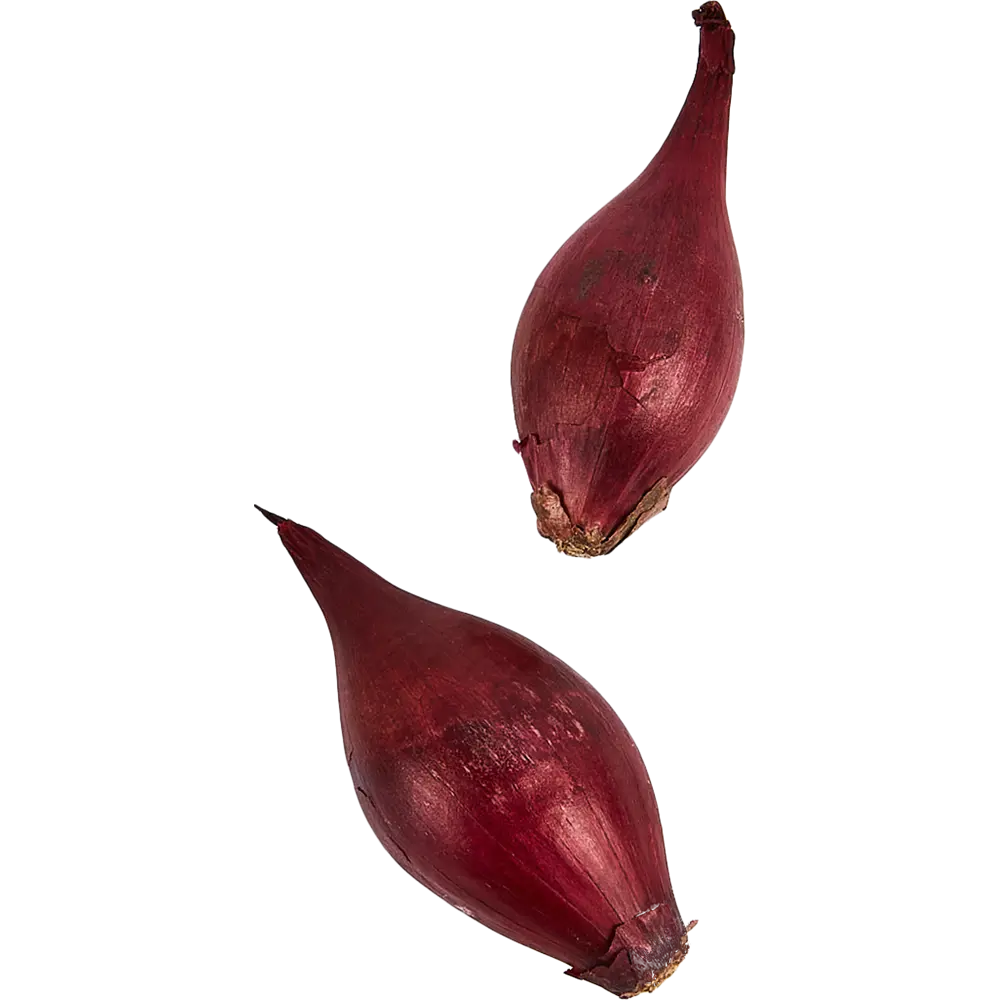 Лук Севок Кармен 0.5 кг GEOLIA STLM-2040555 - Вид №2