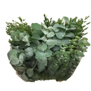 Листья эвкалипта микс 70 см