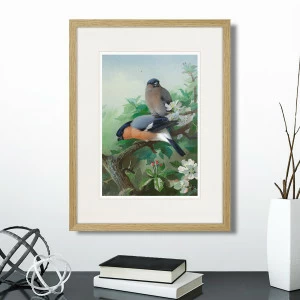 Литография на тонированной бумаге 42х32 см Bullfinches, 1915г. КАРТИНЫ В КВАРТИРУ  264327 Белый;коричневый;разноцветный