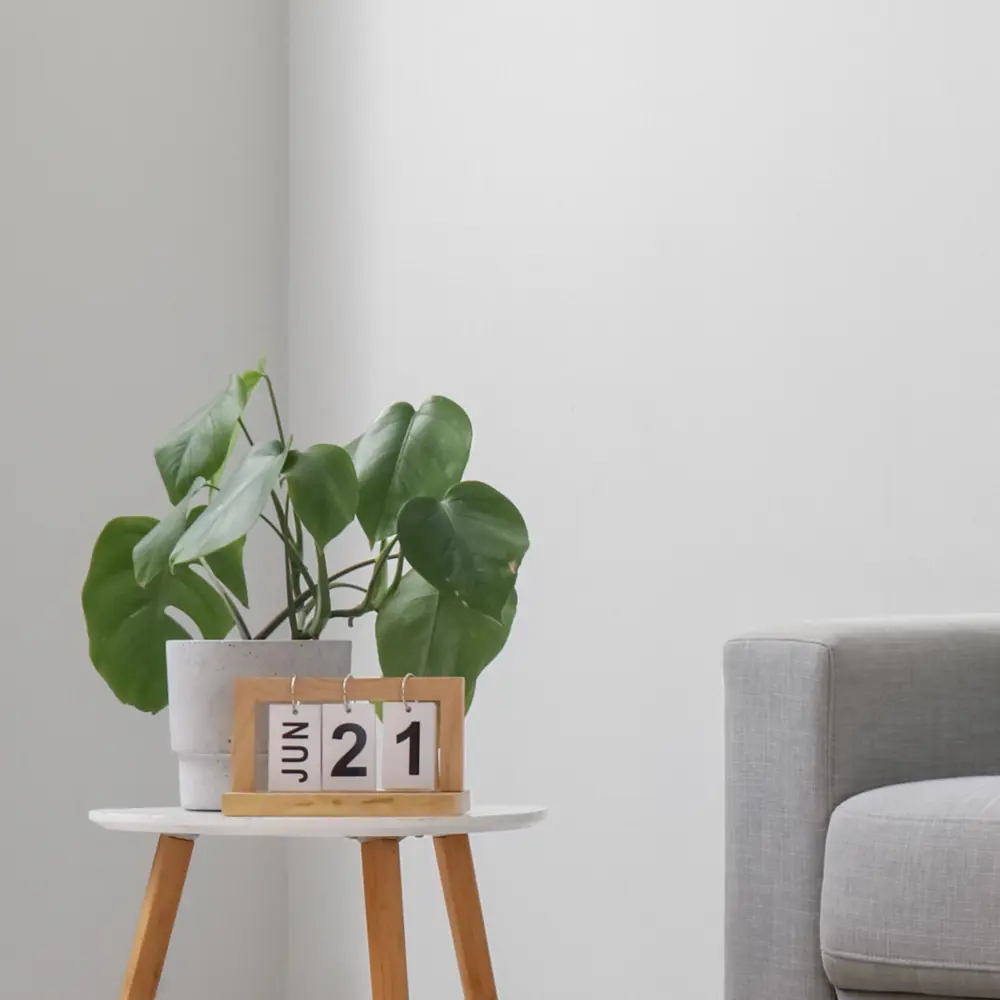 Флизелиновые обои Kreaforta Крошка белые 1.06 м 89396102 STLM-1499952 - Вид №4