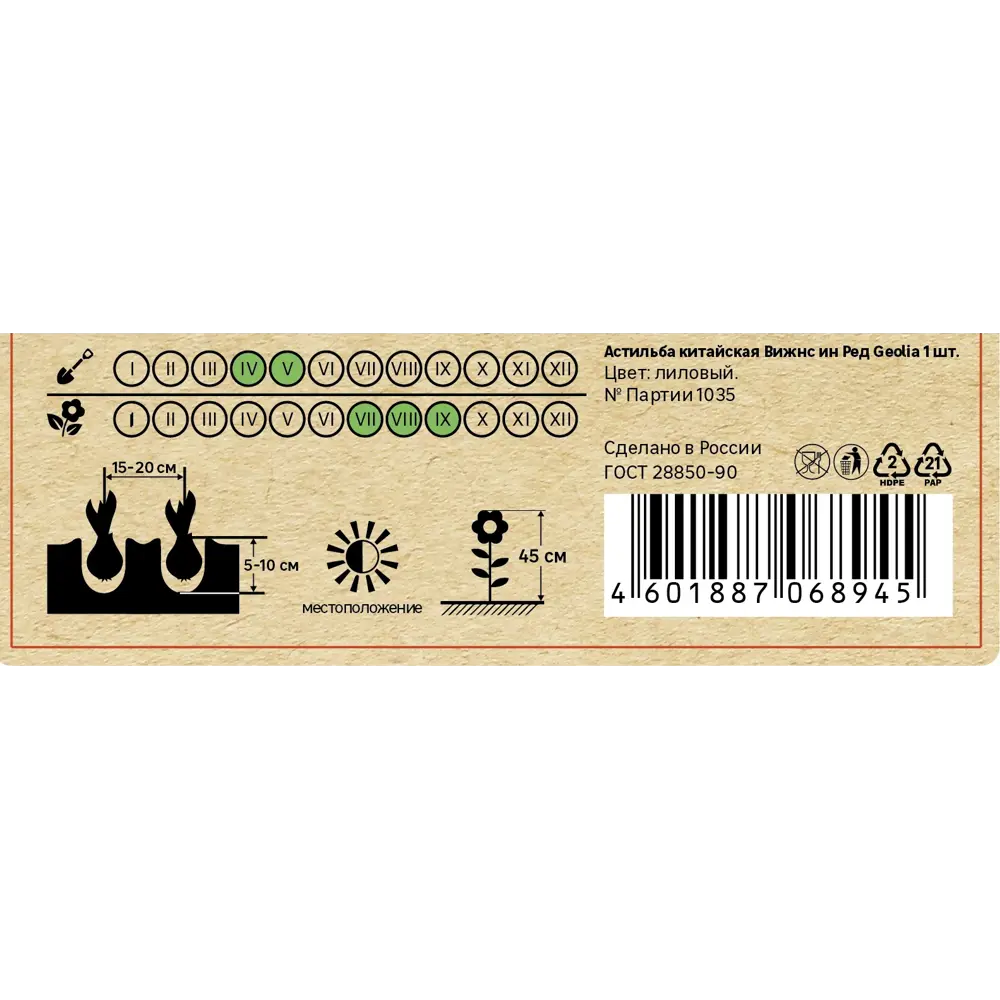 Астильба Geolia китайская Вижнс Инред 86408607 STLM-2029115  - Вид №3