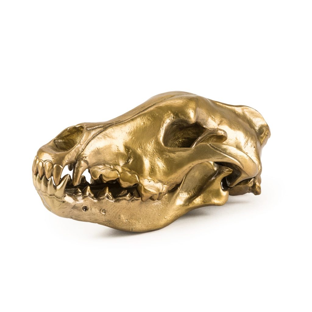 Статуэтка декоративная металлическая 14х28 см золотая Wunderkrammer Wolf Skull SELETTI  00-3883242 Золото  - Вид №5