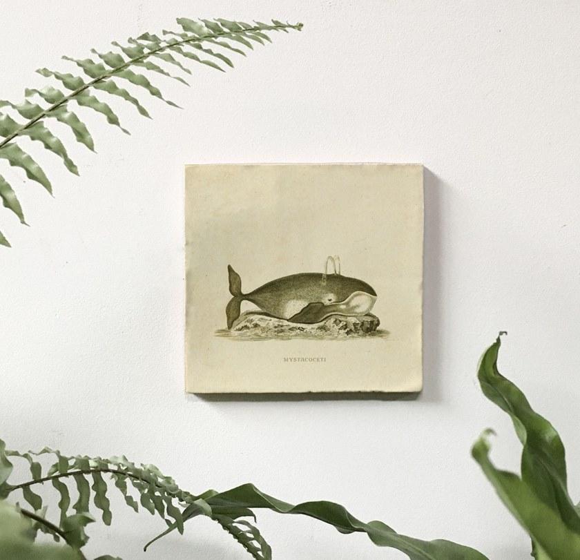 Groovy Magnets Настенный декоративный предмет из керамики Tiles M-tile-wh - Вид №1