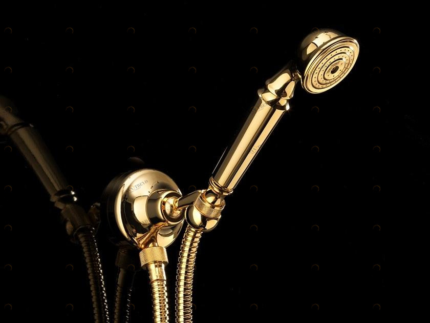 Devon&Devon Настенный ручной душ с опорой Swan Exc-sw118