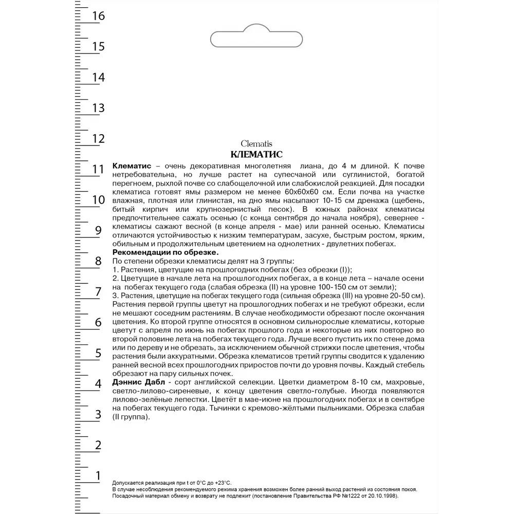 Клематис крупноцветковый Дэннис Дабл в капере 82527536 STLM-2144008 Santreyd  - Вид №1
