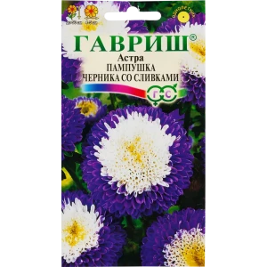 ГАВРИШ Астра «Пампушка Черника со сливками» — бархатные цветы для сада 82097827