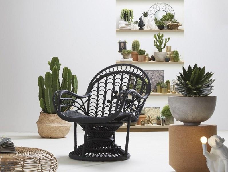 Koziel Однополосные обои sun-id-1496788 - Вид №2